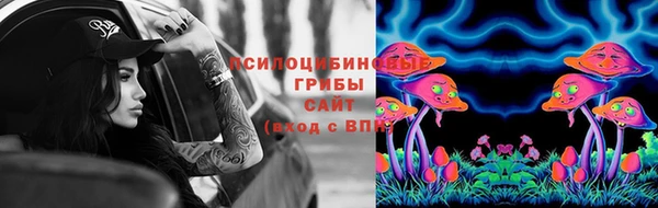 дмт Зеленодольск