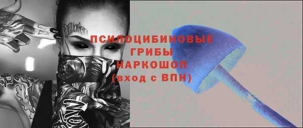 прущий лед Инсар