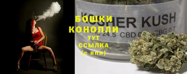 гашик Инта