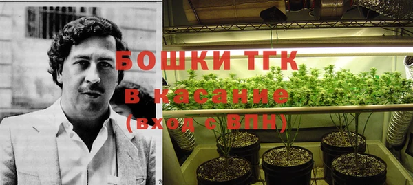 прущий лед Инсар