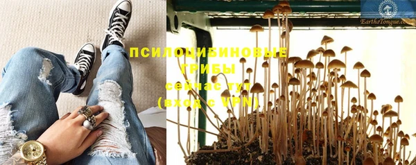 прущий лед Инсар