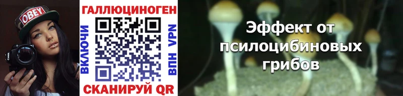Псилоцибиновые грибы ЛСД  Купить закладки  Шуя 